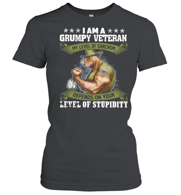 I Am A Grumpy Veteran My Level Of Sarcasm Depends On Your Level Of Stupidity T-shirt Classic Women's T-shirt