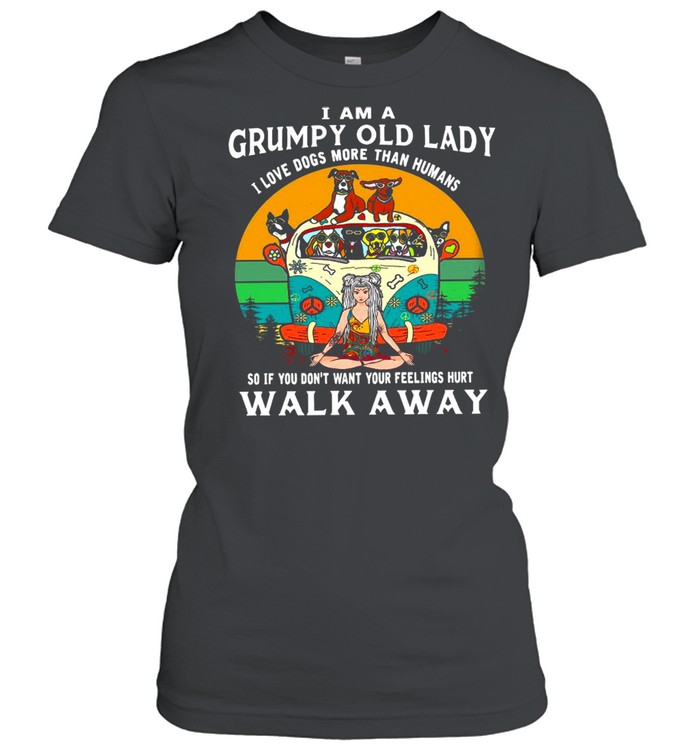 I Am A Grumpy Old Lady I Love Dogs More Than Humans So If You Don’t Want Your Feeling Hurt Vintage  Classic Women's T-shirt