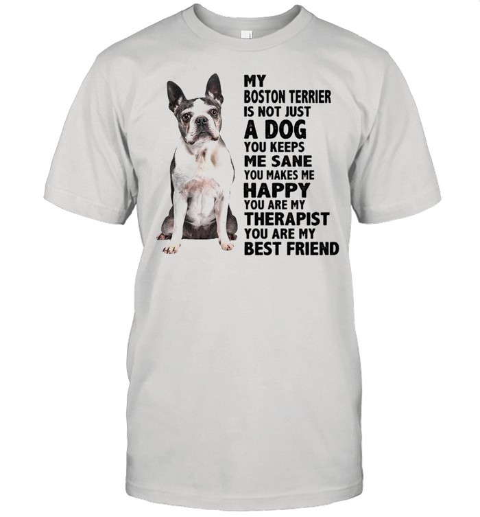 Socks on Boston Terrier T-Shirt T-Shirt / Gray / 2XL