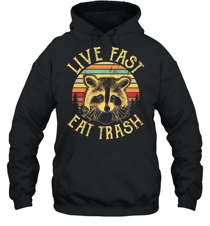 Racoon live fast eat trash vintage shirt Unisex Hoodie
