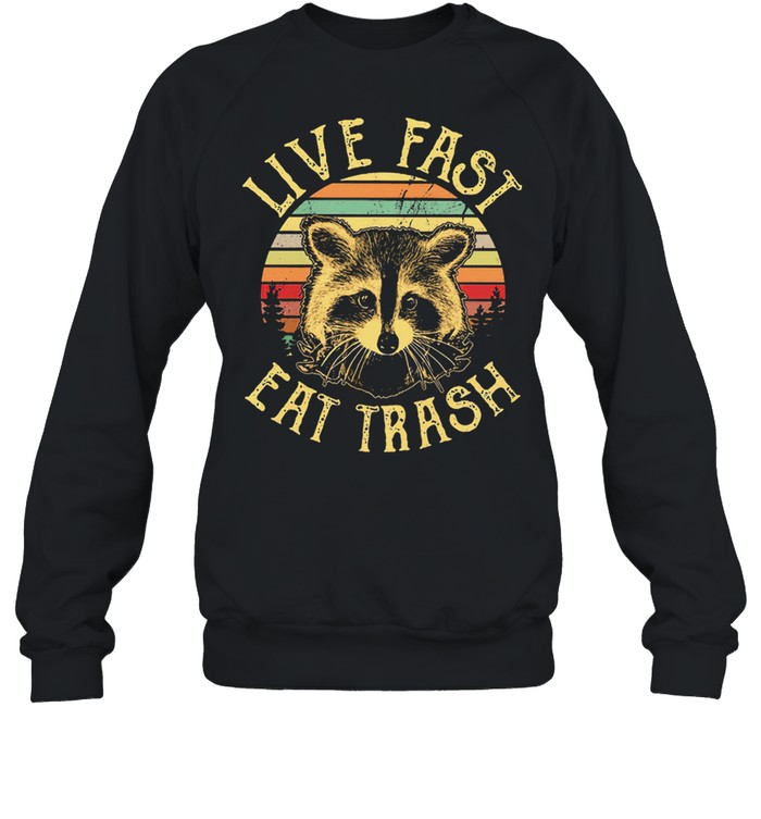Racoon live fast eat trash vintage shirt Unisex Sweatshirt