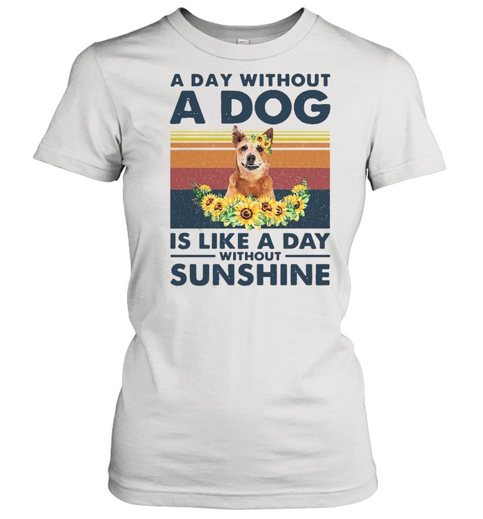 A Day Without A Dog Is Like A Day Without Sunshine Red Heeler Vintage Classic Women's T-shirt