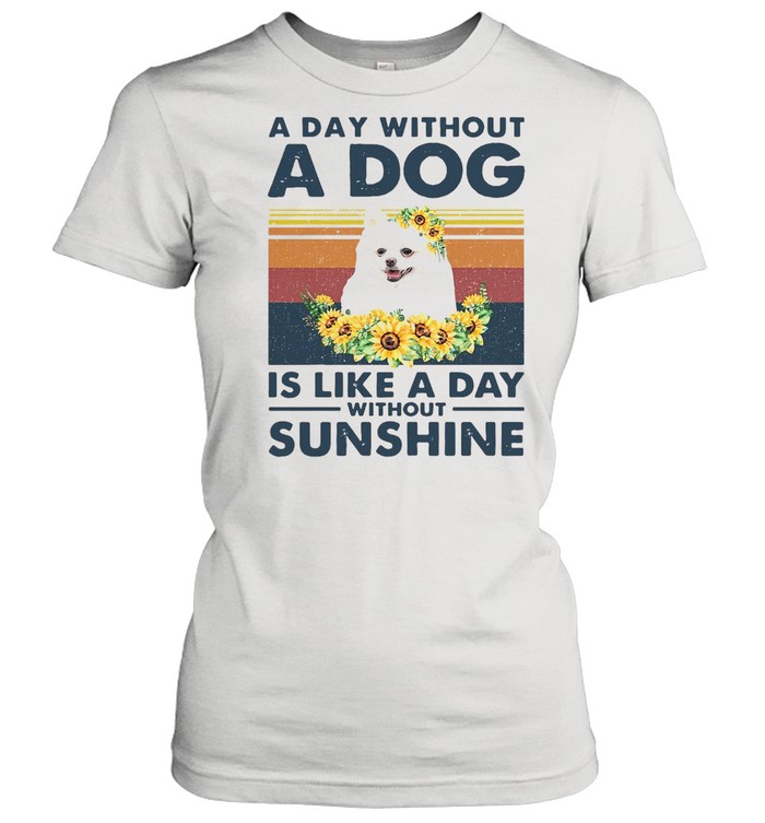 A Day Without A Dog Is Like A Day Without Sunshine Vintage Classic Women's T-shirt