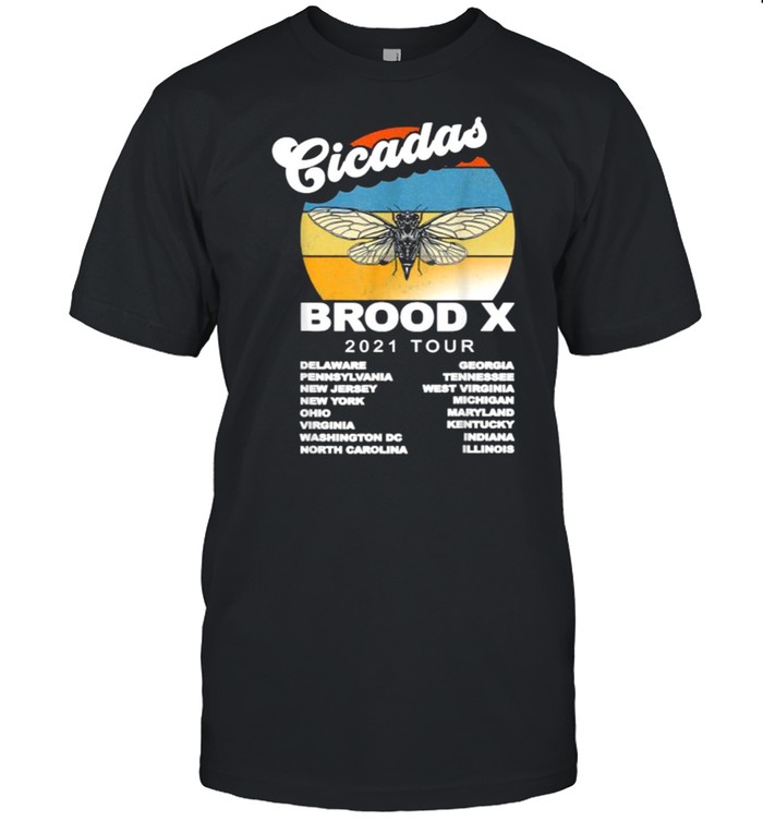 Vintage Cicada Brood X Invasion Summer Tour 2021 T- Classic Men's T-shirt