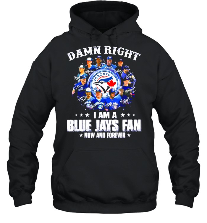 Buffalo blue jays shirt - Kingteeshop