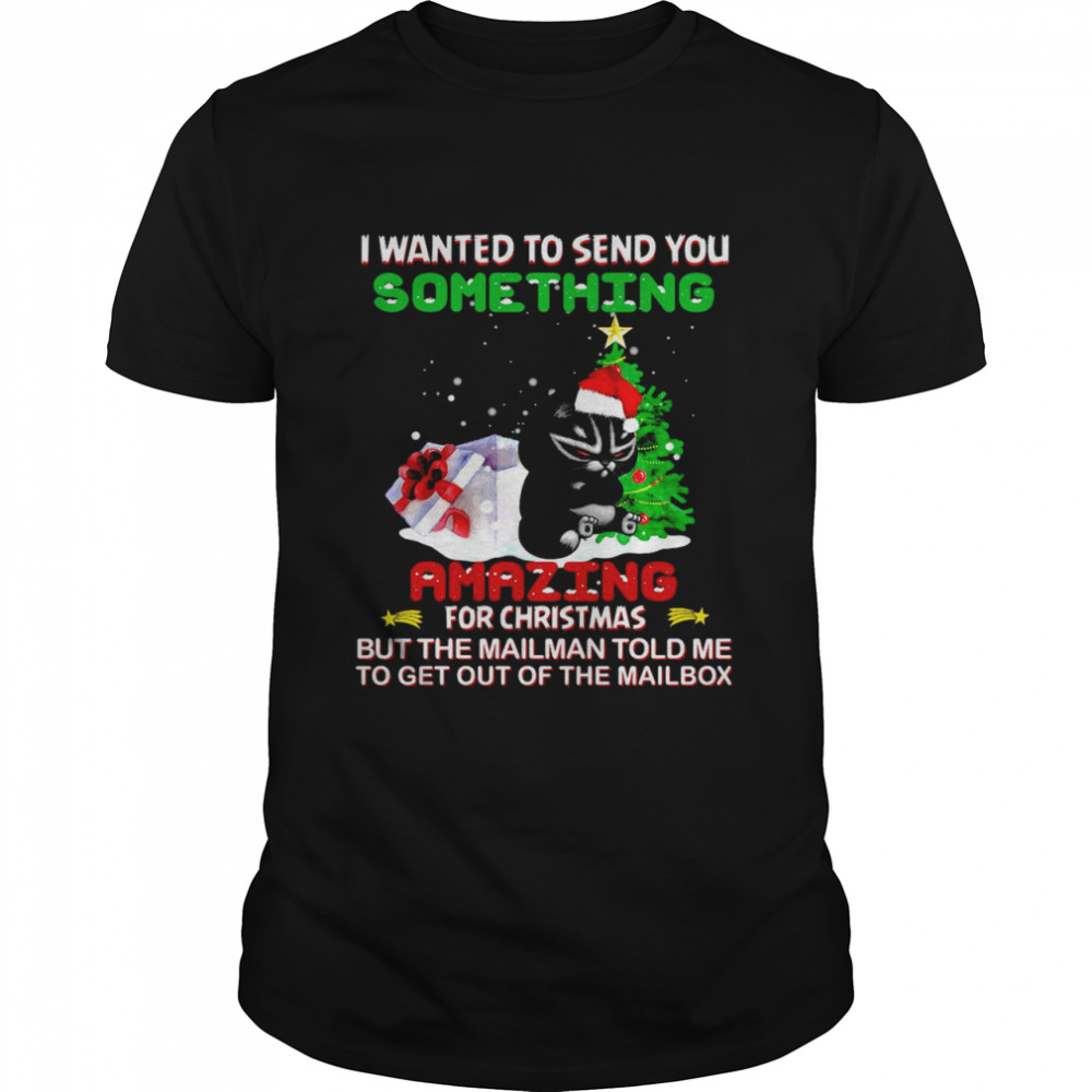 Cat I Wanted To Send You Something Amazing For Christmas But The Mailman Told Me To Get Out Of The Mailbox  Classic Men's T-shirt