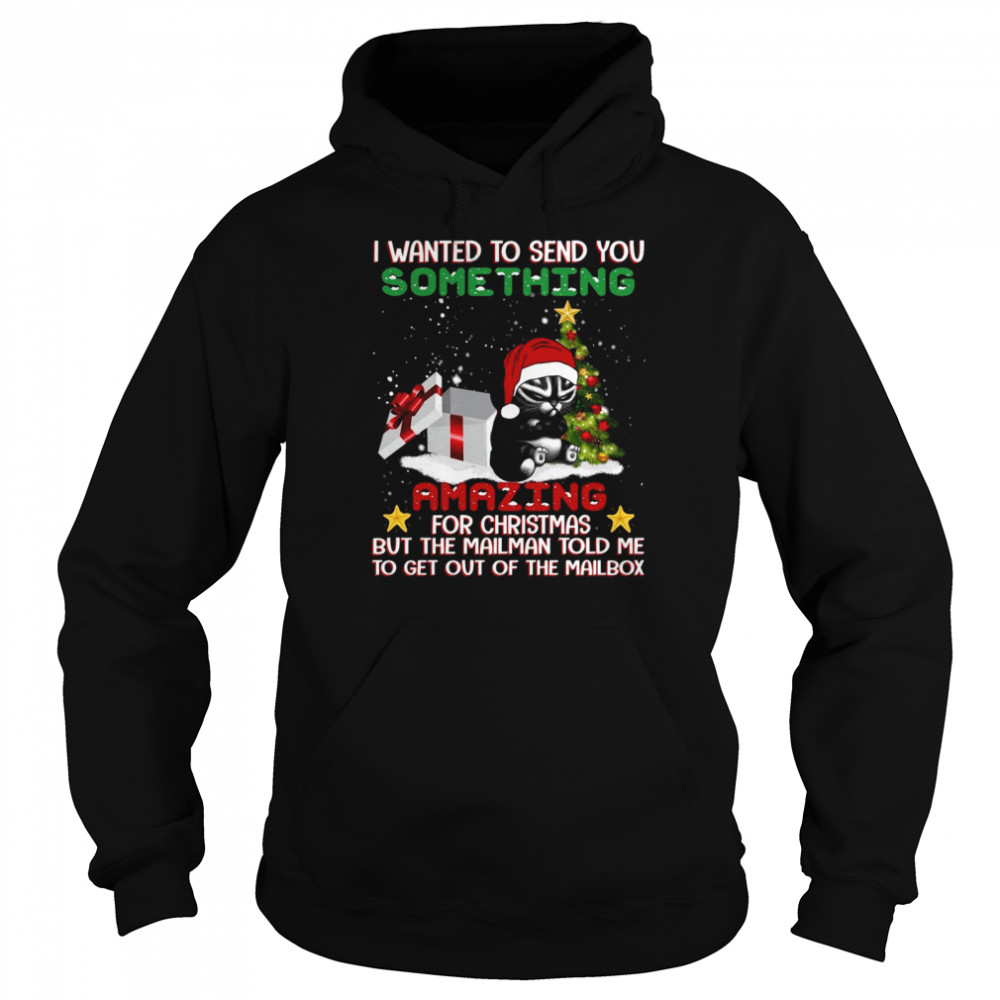 I wanted to send you something amazing for christmas but the mailman told me shirt Unisex Hoodie