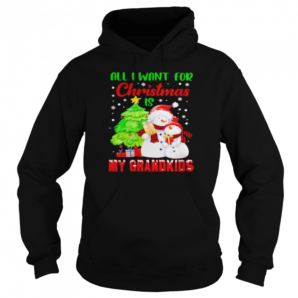 Snowman all I want for Christmas is my grandkids shirt Unisex Hoodie