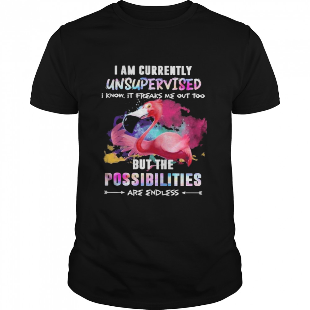 Flamingo the possibilities are endless but the possibilities shirt