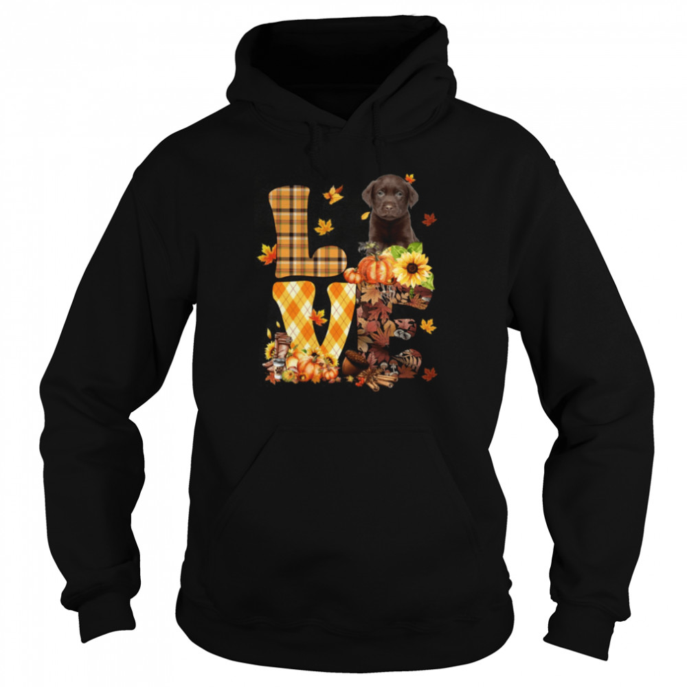 love autumn chocolate labrador classic t unisex hoodie