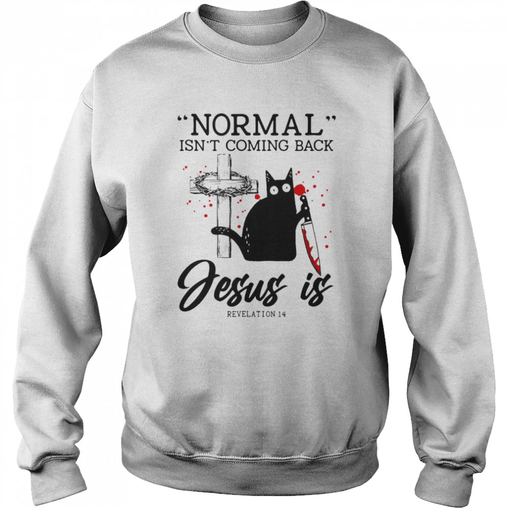 Black Cat Normal Isn’t Coming Back Jesus Is Revelation 14  Unisex Sweatshirt