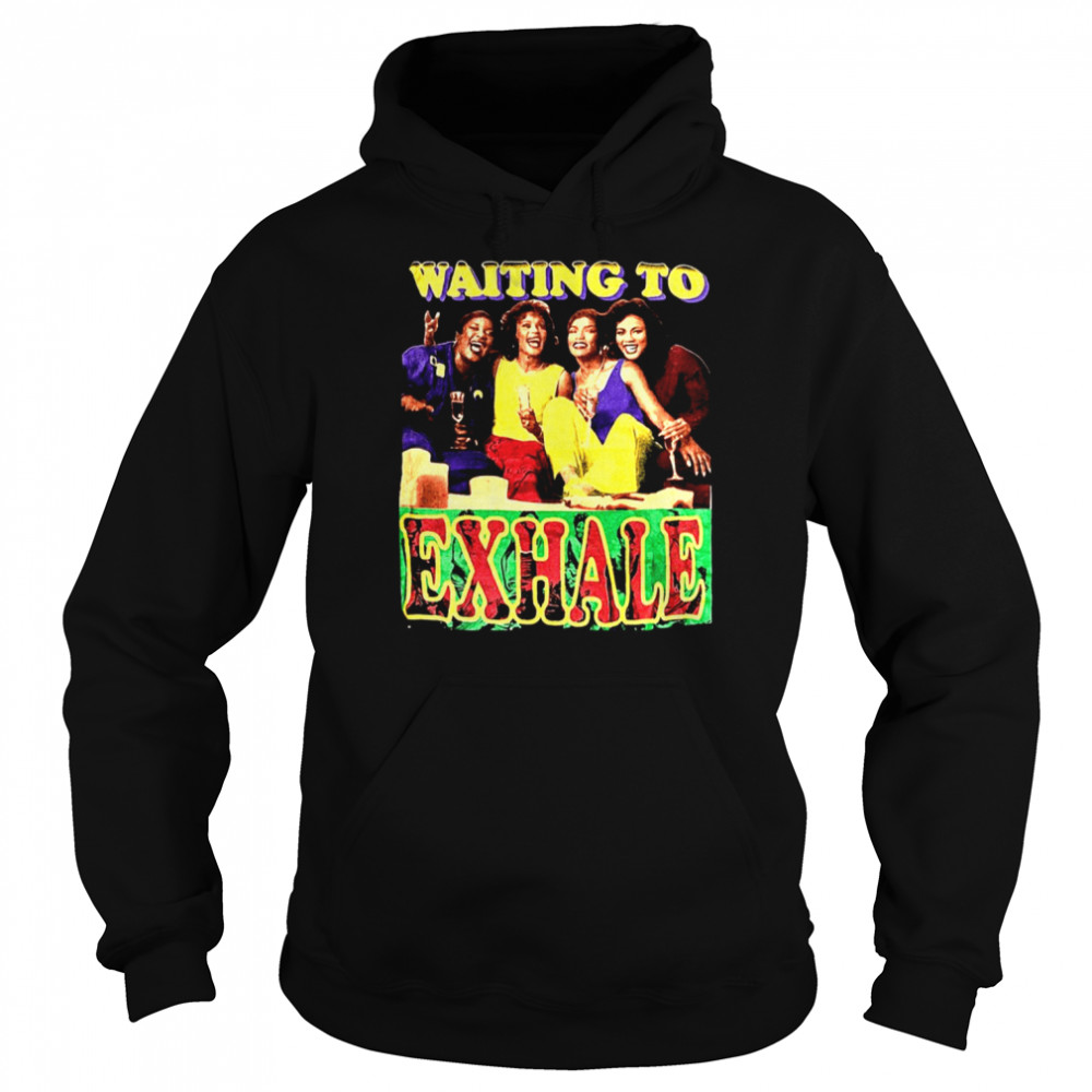 Terry Mcmillan Novel 1995 Waiting To Exhale shirt Unisex Hoodie