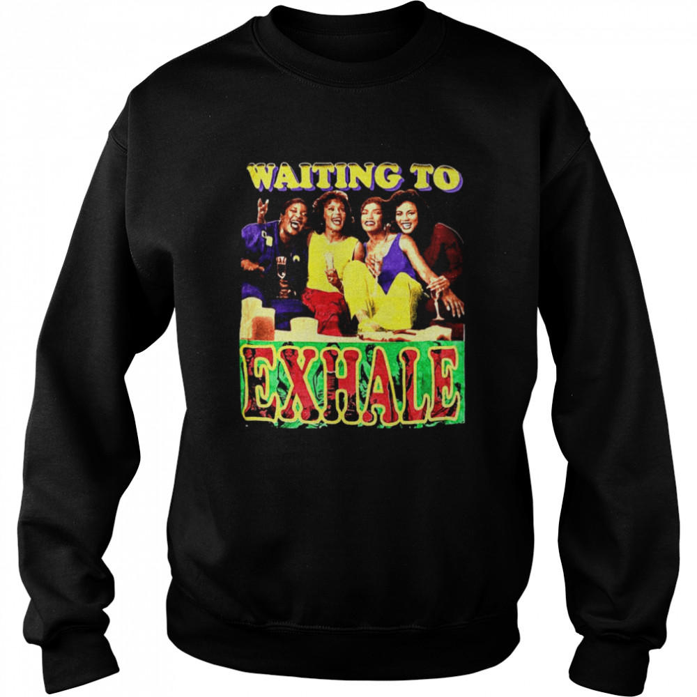 Terry Mcmillan Novel 1995 Waiting To Exhale shirt Unisex Sweatshirt